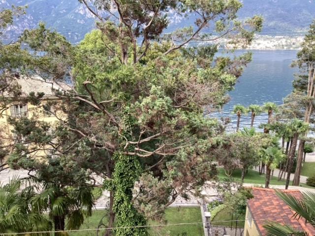 Limonta Wonderful Lake Front Appartment Near Bellagio מראה חיצוני תמונה